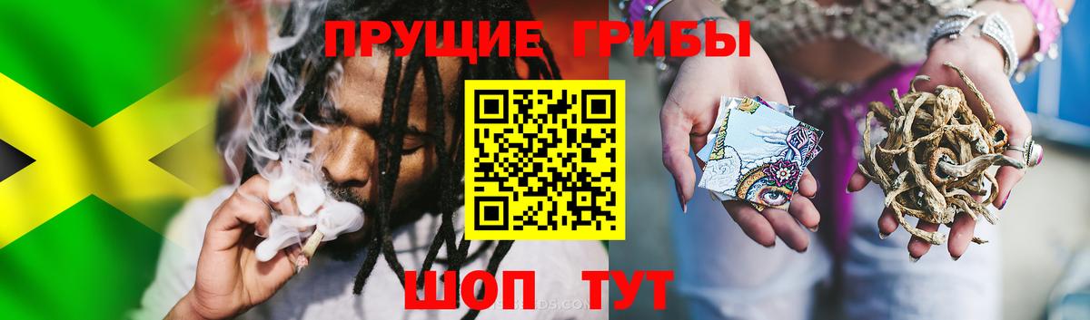 Псилоцибиновые грибы Magic Shrooms Саянск